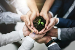 Image - Cropped shot of a team of colleagues holding a plant growing out of soil