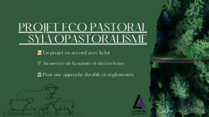 Image - PROJET ECO PASTORAL SYLVOPASTORALISME